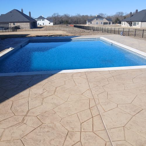 WhatsApp Image 2026-02-12 at 11.31.19 AM (1)