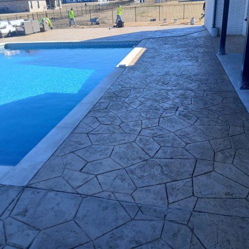 WhatsApp Image 2026-02-12 at 11.31.38 AM